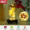 Foil Rose LED String Light Rose Fairy Lamp w/ Glass Dome For Valentines’ Day Mother’s Day Wedding Birthday