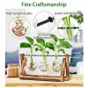 Desktop Glass Planter Bulb Plant Terrarium with Wooden Stand Air Planter Glass Vase Metal Swivel Plant Vase for Hydroponics