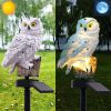 Solar Owl Garden Light Owl Solar Lamp Parrot Lawn Light Solar Lights Outdoor Solar Light Animal Pixie Lawn Lamp Waterproof Decor - Brown - China